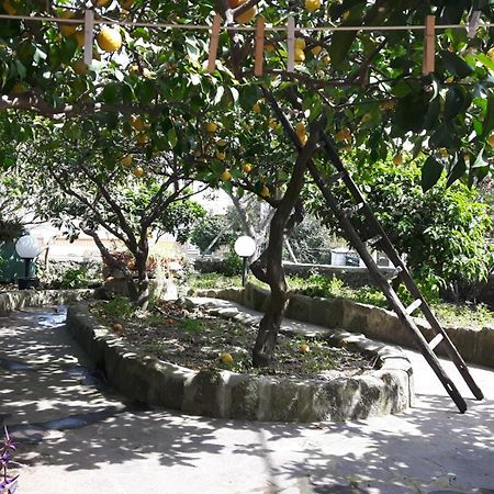 Holiday Apartments Lacco Ameno  Εξωτερικό φωτογραφία