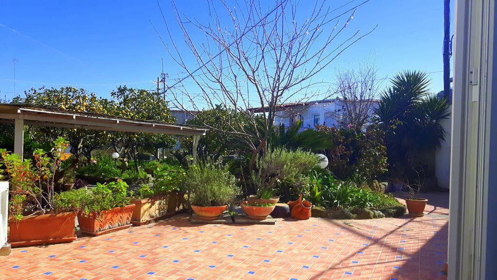 Holiday Apartments Lacco Ameno  Εξωτερικό φωτογραφία