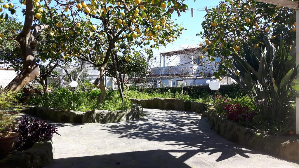 Holiday Apartments Lacco Ameno  Εξωτερικό φωτογραφία