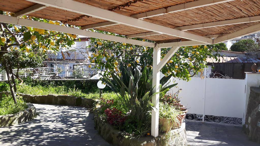 Holiday Apartments Lacco Ameno  Εξωτερικό φωτογραφία